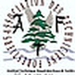 Profile Picture of Sidi Mohamed Hachimi Alaoui (@assotechforest) on Flickr