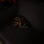 Profile Picture of Peyton BaileyArchibald (@peypeys.baiz) on Facebook