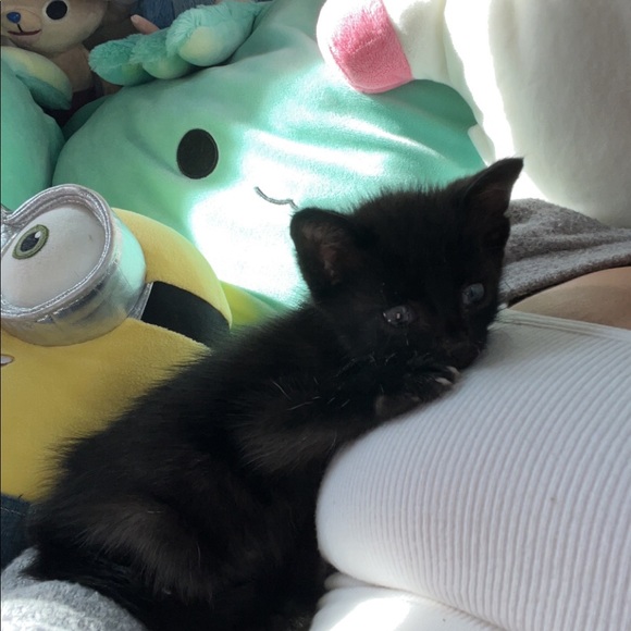 Profile Picture of Ruth Kriescher (@ruthkriescher0) on Poshmark