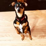 Profile Picture of Julia Lounsbury (@julia.lounsbury.5) on Facebook