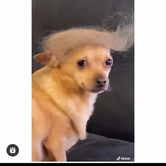 Profile Picture of Jason Watson (@12344935gv) on Poshmark