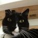Profile Picture of Nathan Fender (@fender0617) on Pinterest