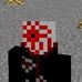 Profile Picture of Toby Blank (@Toby-Blank) on Facebook