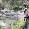 Profile Picture of Arun Shrestha (@@arunshrestha517) on Tiktok