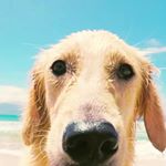 Profile Picture of Chris de Bruin (@chris_de_bruin_) on Instagram