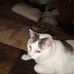 Profile Picture of Pam Freeman (@pam.freeman.73157) on Facebook