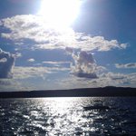 Samuel Farris - Instagram Profile Picture of Samuel Farris (@eyesforest) on Instagram