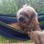 Profile Picture of Ma Joann Morillo Delda (@deldama) on Instagram