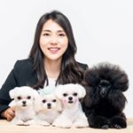 Profile Picture of 윤살롱(프리미엄 강아지미용실) (@kyunghee_yun) on Instagram
