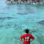 Profile Picture of Tommy Chow (@tommyjonk) on Instagram