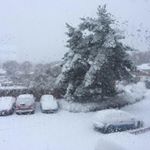 Profile Picture of Andrew Brennen (@brennen.andrew) on Instagram