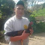 Profile Picture of Alex Llerena (@alesstalyn) on Instagram