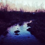 Profile Picture of Aaron Sauls (@aaron_sauls) on Instagram