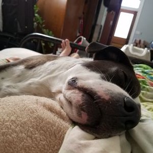 Profile Picture of Mônica Mata Gilliam (@hugoismyfriend) on Twitter