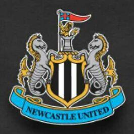 Profile Picture of Richard Sibley (@nufcninjas) on Twitter