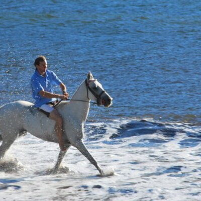 Profile Picture of Patricio Pérez (@patricioperez) on Twitter