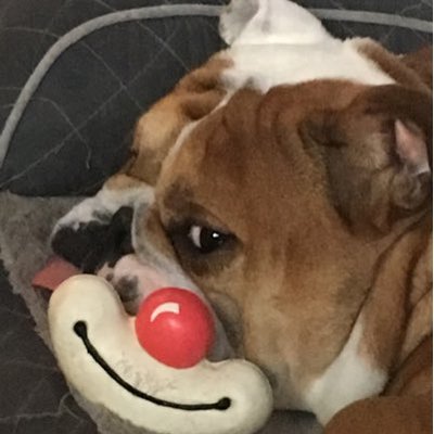 Profile Picture of Mike Crisafi (@_BobWeaver) on Twitter