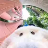 Profile Picture of Justin Sharp (@justin.sharp7) on Tiktok