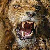 Profile Picture of Noel Velez (@nvelez282) on Youtube