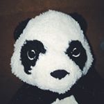 Profile Picture of Paul Fernandez Ingeburg (@paul.ingeburg) on Instagram