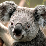 Profile Picture of Robert Trojanowski (@roberttrojanowski70) on Flickr