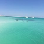 Profile Picture of Cedric Pollard (@cedric.pollard) on Instagram