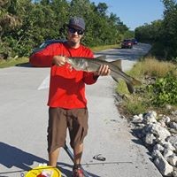 Profile Picture of Dusty Webb (@dusty-webb-1) on Quora