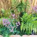 Profile Picture of Jo Wyeth Garden Design (@jowyethgardendesign) on Pinterest