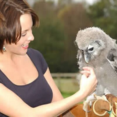 Profile Picture of Steve Birchall (@birchall_steve) on Twitter