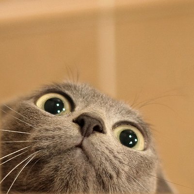 Profile Picture of Daniele Alessandri (@RandomActsHR) on Twitter