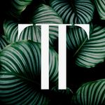 Profile Picture of Thomas Tyrrell Designs (@t_tyrrelldesigns) on Instagram