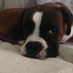 Profile Picture of Ruby Clements (@clements5092) on Instagram