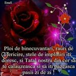 Profile Picture of Leontina Visoiu (@leontinavisoiu) on Instagram