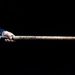 Profile Picture of Daniel Bolda (@danielbolda) on Pinterest