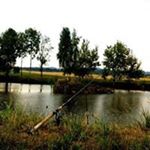 Profile Picture of Martin Prager (@martinprager) on Instagram