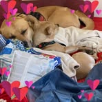 Profile Picture of Christina Dailey (@christina.dailey.98) on Facebook