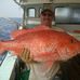 Profile Picture of Neal Traweek (@neal.traweek.16) on Facebook