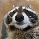 Profile Picture of Adam Fabiński (@adamfabi) on Instagram