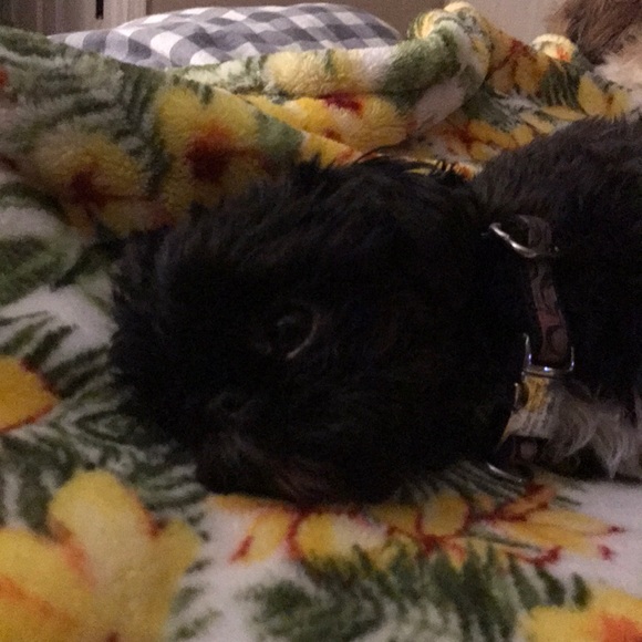 Profile Picture of Nancy Jagemann (@nandjay) on Poshmark