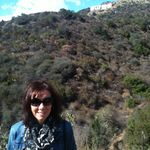 Profile Picture of Nancy Nault (@nault4) on Instagram