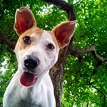 Aaron Segura - Instagram Profile Picture of Aaron Segura (@aarongabrielsegura) on Instagram