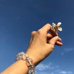 Profile Picture of Kim  Tsai (@kim8t) on Instagram