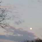 Profile Picture of Tamara Lorenzo (@123MGSHT) on Facebook