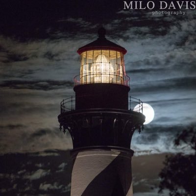 Profile Picture of Milo Davis (@MiloDphoto) on Twitter