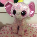 Profile Picture of Jenna Faye Binder (@beanie_boo9122) on Instagram