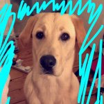 Profile Picture of buddymullen (@buddymullen) on Instagram