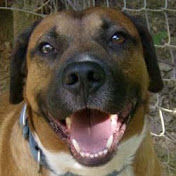 Profile Picture of Richard Holbrook (@Rich4Truth) on Youtube