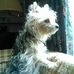 Profile Picture of Jason Winton (@jason.winton.5) on Facebook