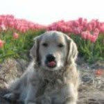 Profile Picture of Michael Tkacz (@michaeltkacz) on Instagram