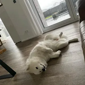 Profile Picture of Leinweber Viktor (@leinweberviktor) on Tiktok